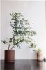 Ferm LIVING Sekki Pot L plantenpot voor binnen 15 cm online kopen
