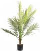 Beliani Areca Palm Kunstplant groen synthetisch Materiaal online kopen