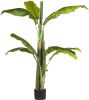 Beliani Banana Tree Kunstplant groen synthetisch Materiaal online kopen