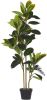 Beliani Ficus Kunstplant groen synthetisch Materiaal online kopen