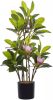 Beliani Magnolia Kunstplant groen synthetisch Materiaal online kopen