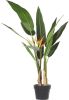 Beliani Strelitzia Tree Kunstplant groen synthetisch Materiaal online kopen