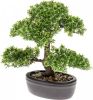 Emerald Kunstplant mini bonsai ficus groen 32 cm 420002 online kopen