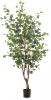 Wants&Needs Plants Kunstplant Eucalypthus Tree 120cm online kopen