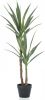 Wants&Needs Plants Kunstplant Yucca 110cm online kopen