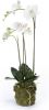 Emerald Kunstplant vlinderorchidee 70 cm wit online kopen