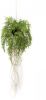 Emerald Kunst varen hangplant met wortels d55cm online kopen
