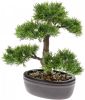 Merkloos Bonsai Boompje Cedrus Atlantica Glauca Kunstplant In Kunststof Pot 32 Cm Kunstplanten online kopen