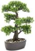 Merkloos Bonsai Boompje Cedrus Atlantica Glauca Kunstplant In Kunststof Pot 45 Cm Kunstplanten online kopen