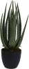 Pro Garden ProGarden Kunstplant in pot Aloe Vera 25x45 cm online kopen
