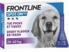 Frontline Spot On Anti Vlooien en Teken Druppels Hond 20 40 kg 6 pipetten online kopen