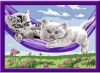 Ravensburger Schilderen Op Nummer Kittens In De Hangmat online kopen