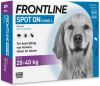 Frontline Spot On Anti Vlooien en Teken Druppels Hond 20 40 kg 6 pipetten online kopen