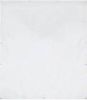 VIDAXL Partytent zijpaneel 550 g/m&#xB2, 2x2 m PVC wit online kopen