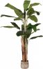 LABEL51 Kunstplant Musa 110x110x180 cm Groen Kunststof online kopen