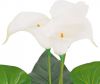 VidaXL Kunst calla lelie plant met pot 45 cm wit online kopen