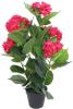 VidaXL Kunst hortensia plant met pot 60 cm rood online kopen