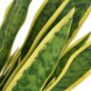 VidaXL Kunst sanseveria plant met pot 90 cm groen online kopen