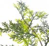VidaXL Kunstplant met pot cipresboom 120 cm groen online kopen