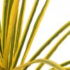 VidaXL Kunstplant met pot dracaena 125 cm geel online kopen