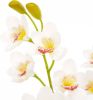 VidaXL Kunstplant met pot orchidee 90 cm wit online kopen