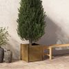 VidaXL Plantenbak 50x50x50 cm massief grenenhout honingbruin online kopen