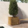 VidaXL Plantenbak 70x70x70 cm massief grenenhout honingbruin online kopen