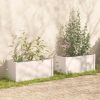 VidaXL Plantenbakken 2 st 100x50x50 cm massief grenenhout wit online kopen