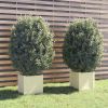 VidaXL Plantenbakken 2 st 40x40x40 cm massief grenenhout wit online kopen