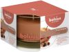 Bolsius Geurglas 63/90 True Scents Apple Cinnamon online kopen