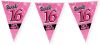 Paper Dreams Vlaggenlijn Sweet 16 Meisjes 10 Meter Roze online kopen