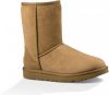 UGG Classic Short II Laarzen 1016223/CHE Bruin-42 maat 42 online kopen