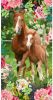Good morning Strandlaken Foal Paardenmotief, met witte achterzijde, kinderen(1 stuk ) online kopen