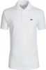 Lacoste Poloshirt met harmonieus gekleurde krokodil op borsthoogte(1 delig ) online kopen