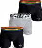 Bjorn Borg Bj&#xF6, rn Borg Essential Boxershorts Heren(3 pack ) online kopen
