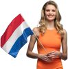 Geen merk / fanartikel Zwaaivlag Nederland rood wit blauw 76 cm polyester online kopen