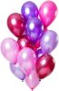 Feestbazaar Ballonnen Set Berry Pink Metallic Premium 30cm 15 Stuks online kopen
