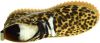 Voile blanche Dames veterschoenen leopard online kopen