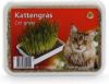 Beeztees Kattengras in Plastic Box 130 gram online kopen
