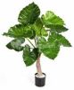 Plantenwinkel.nl Kunstplant Alocasia calidora online kopen