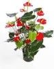 Plantenwinkel.nl Kunstplant Anthurium red online kopen
