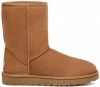 UGG Classic Short II Laarzen 1016223/CHE Bruin-36 maat 36 online kopen