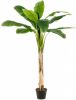 Wants&Needs Plants Kunstplant Banana Tree 180cm online kopen