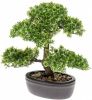 Emerald Kunstplant mini bonsai ficus groen 32 cm 420002 online kopen