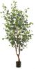 Wants&Needs Plants Kunstplant Eucalypthus Tree 120cm online kopen