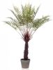 Wants&Needs Plants Kunstplant Fern Dicksonia 105cm online kopen