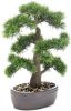 Merkloos Bonsai Boompje Cedrus Atlantica Glauca Kunstplant In Kunststof Pot 45 Cm Kunstplanten online kopen