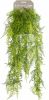 Easyplants Kunstplant Asparagus Hangplant 80cm online kopen
