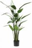 Emerald Kunstplant heliconia plant groen 125 cm 419837 online kopen
