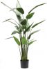 Emerald Kunstplant heliconia plant groen 125 cm 419837 online kopen